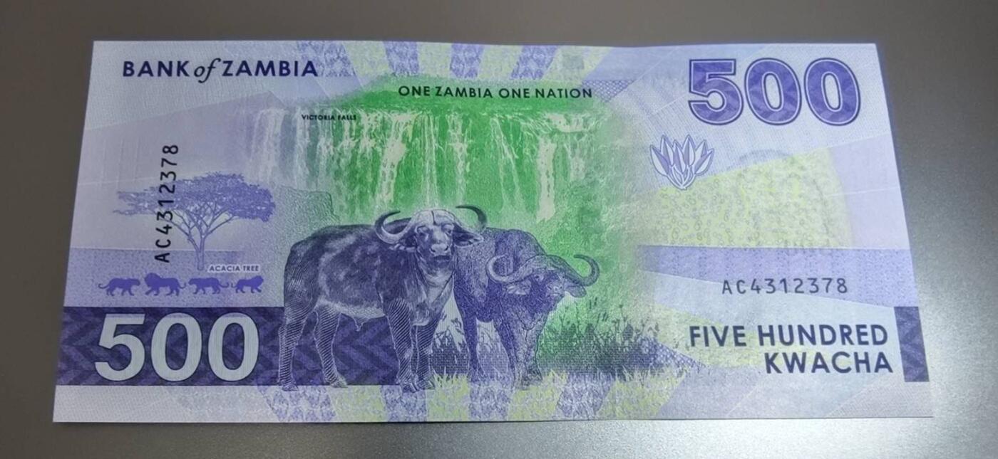 春节钱币瓷器清货捡漏拍场