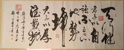 2026第2期  书法专场 - 【天行健】 袁相玉 ，水墨纸本 ，180x70CM、软片 ，选录清华大学百年校训，天行健，君子以自强不息；地势坤，君子以厚德载物。