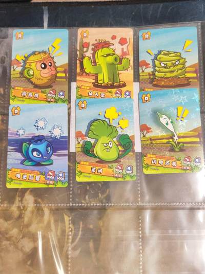 周四第100期阳大大卡牌拍卖第100期（持续收拍品，周六晚上九点截拍，进群福利早知道） - 卡游 植物大战僵尸 6张 彩闪 带卡膜套卡页