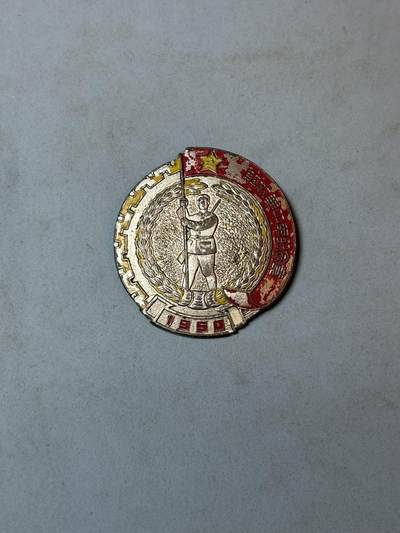 号角文化祝福各位藏友春节大吉马年入好藏 盛世勋华——号角文化勋章邮票专场拍卖第306期    - 解放华中南纪念章