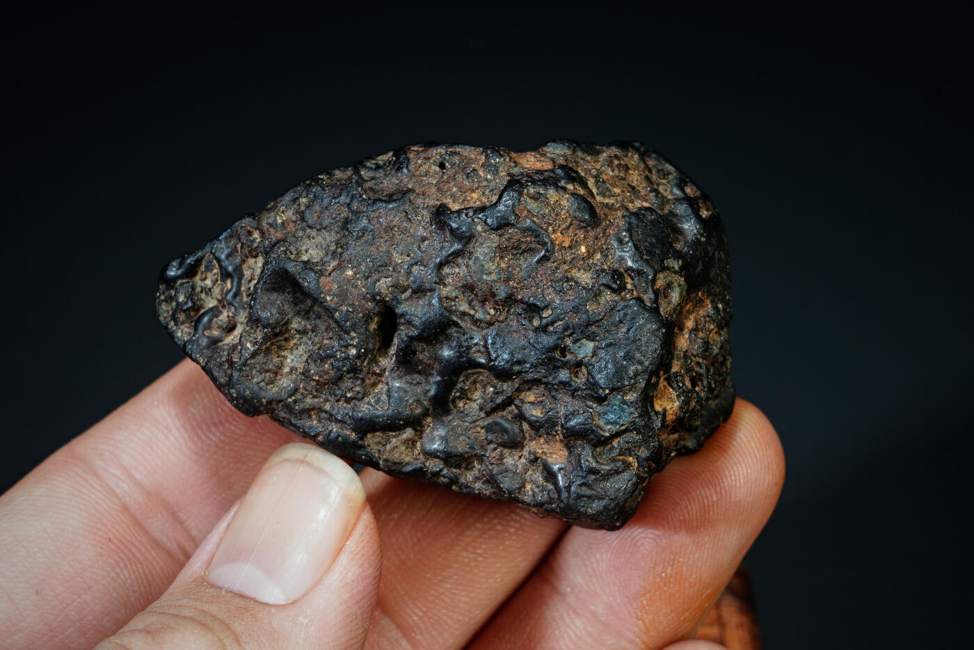 上海都达杂项专场三十一【全场包邮】  陨石连座89-2