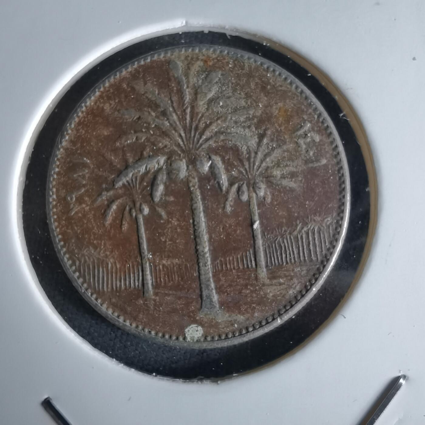 沼泽如烟--第994场 伊拉克