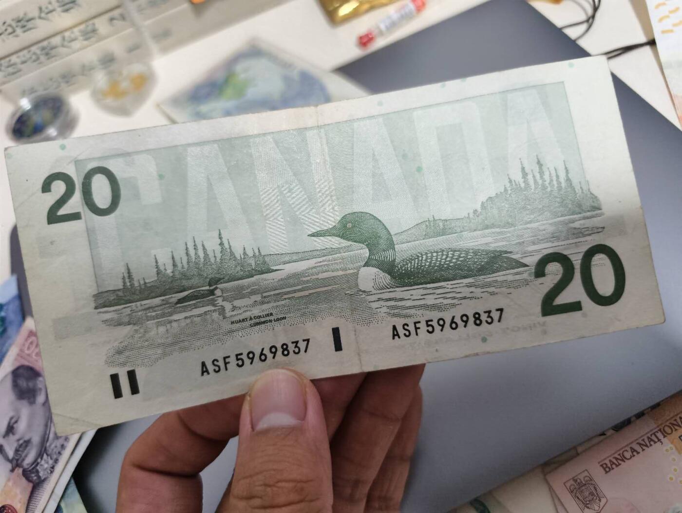 春节钱币瓷器清货捡漏拍场