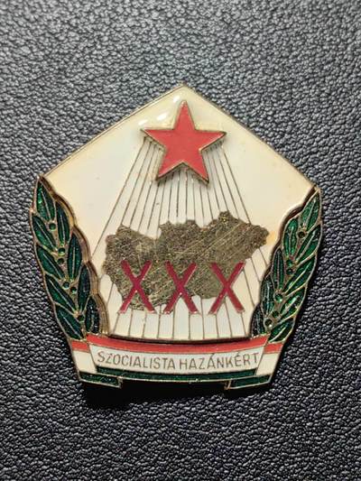 靖甫拍卖第四场 - 社会主义匈牙利30周年证章