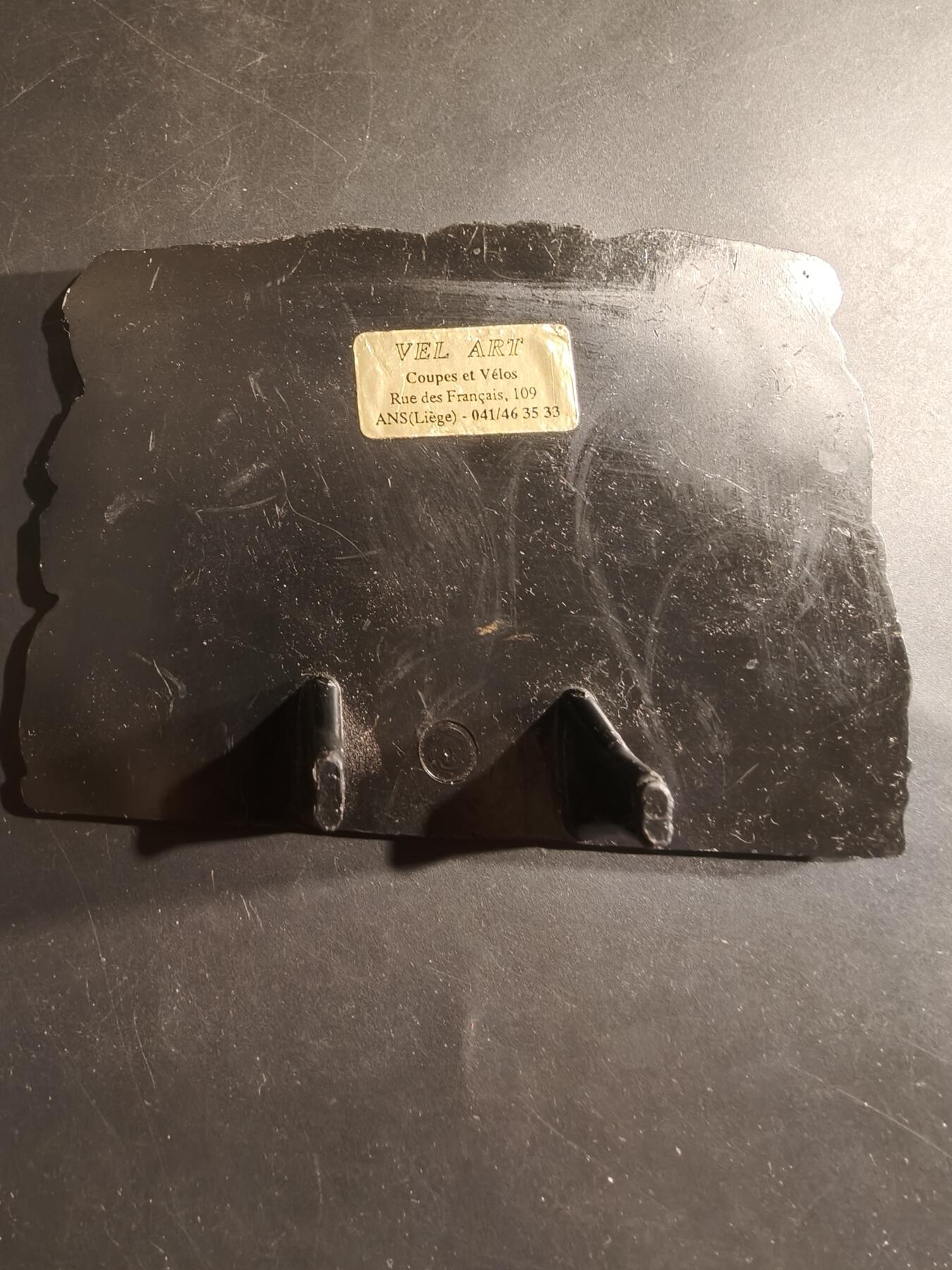 老王徽章第182期 美国老兵协会嘉奖牌匾    12×8cm