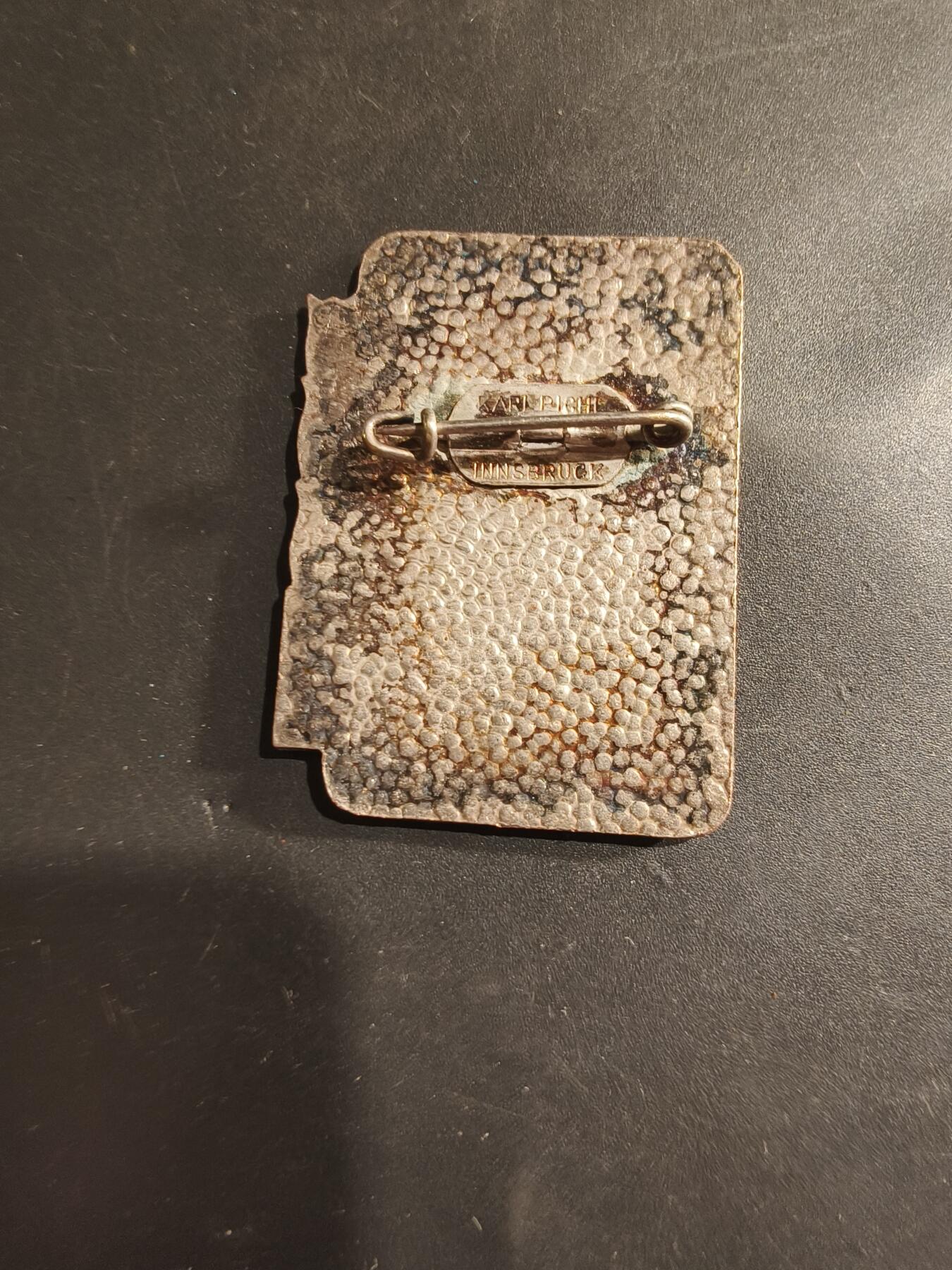 老王徽章第182期 法国高山滑雪证章