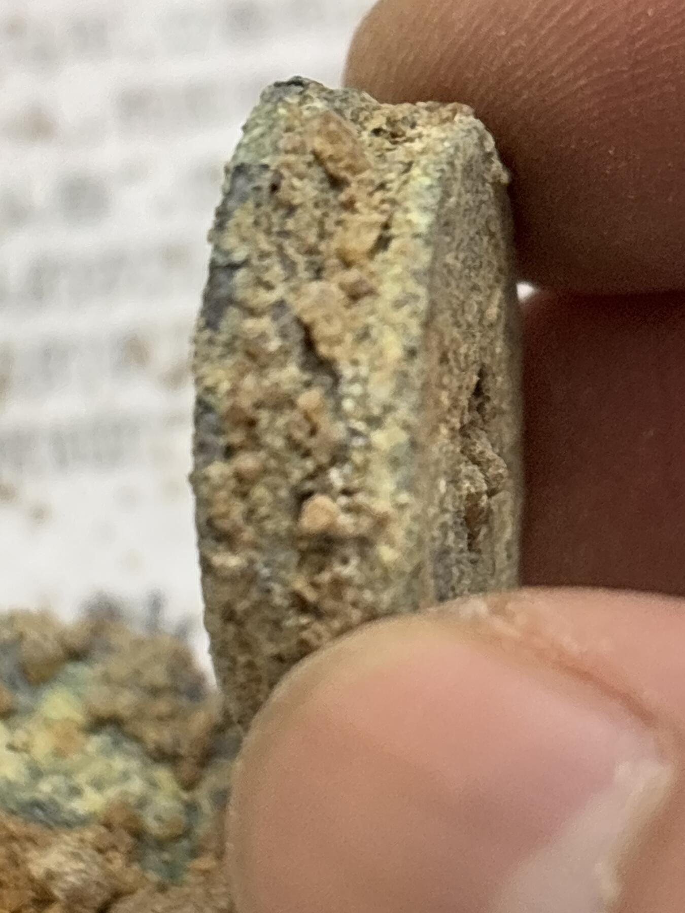 【金马踏春，泉马奔腾】2026 年新年贺岁场，（定于年初五接财神截拍）祝各位老板马到成功，马上有钱，愿岁岁平安喜乐顺遂 河道清筒子 82.7 克，好像两个 7 连，一个四连，两个散片，一个过 25+，清顺治到宣统，有几率出顺治，雍正，太平天国等好钱，这种货某某直播间都是按个算的，喜欢的不要错过了