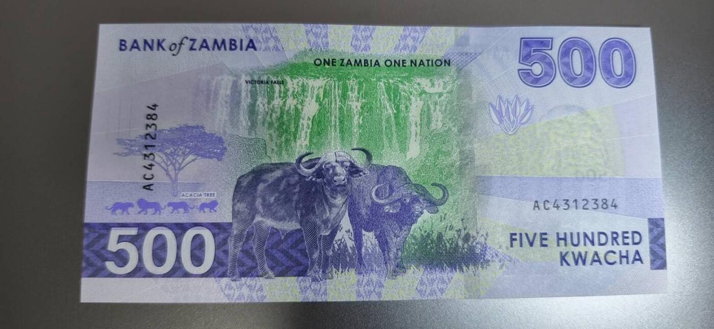 春节钱币瓷器清货捡漏拍场