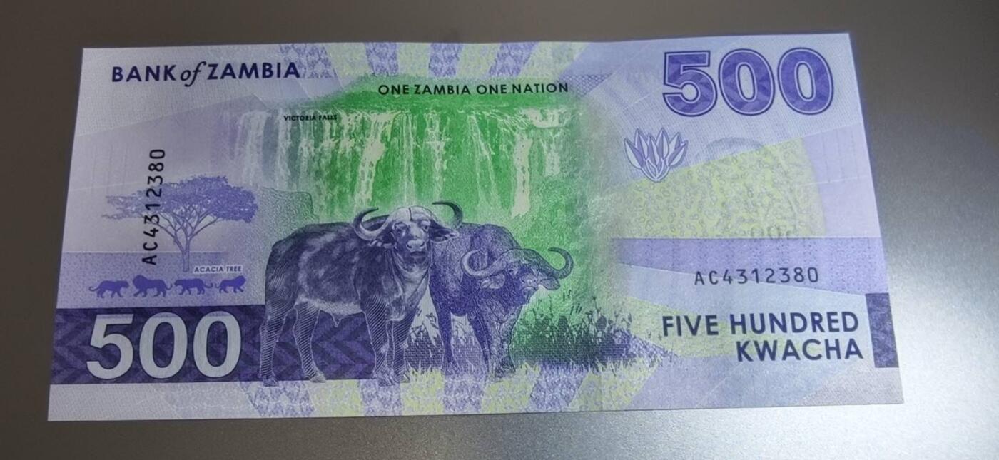 春节钱币瓷器清货捡漏拍场