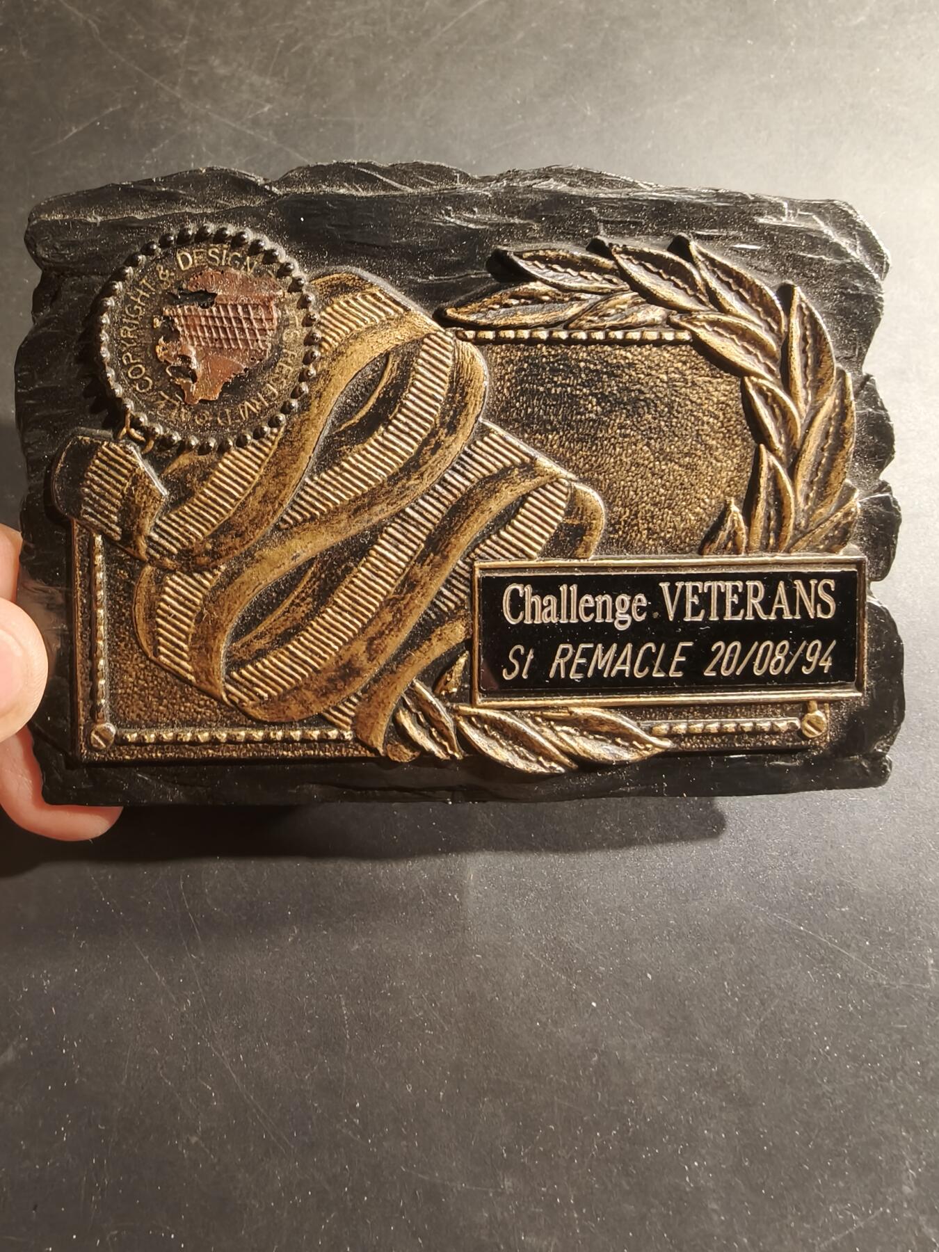 老王徽章第182期 美国老兵协会嘉奖牌匾    12×8cm