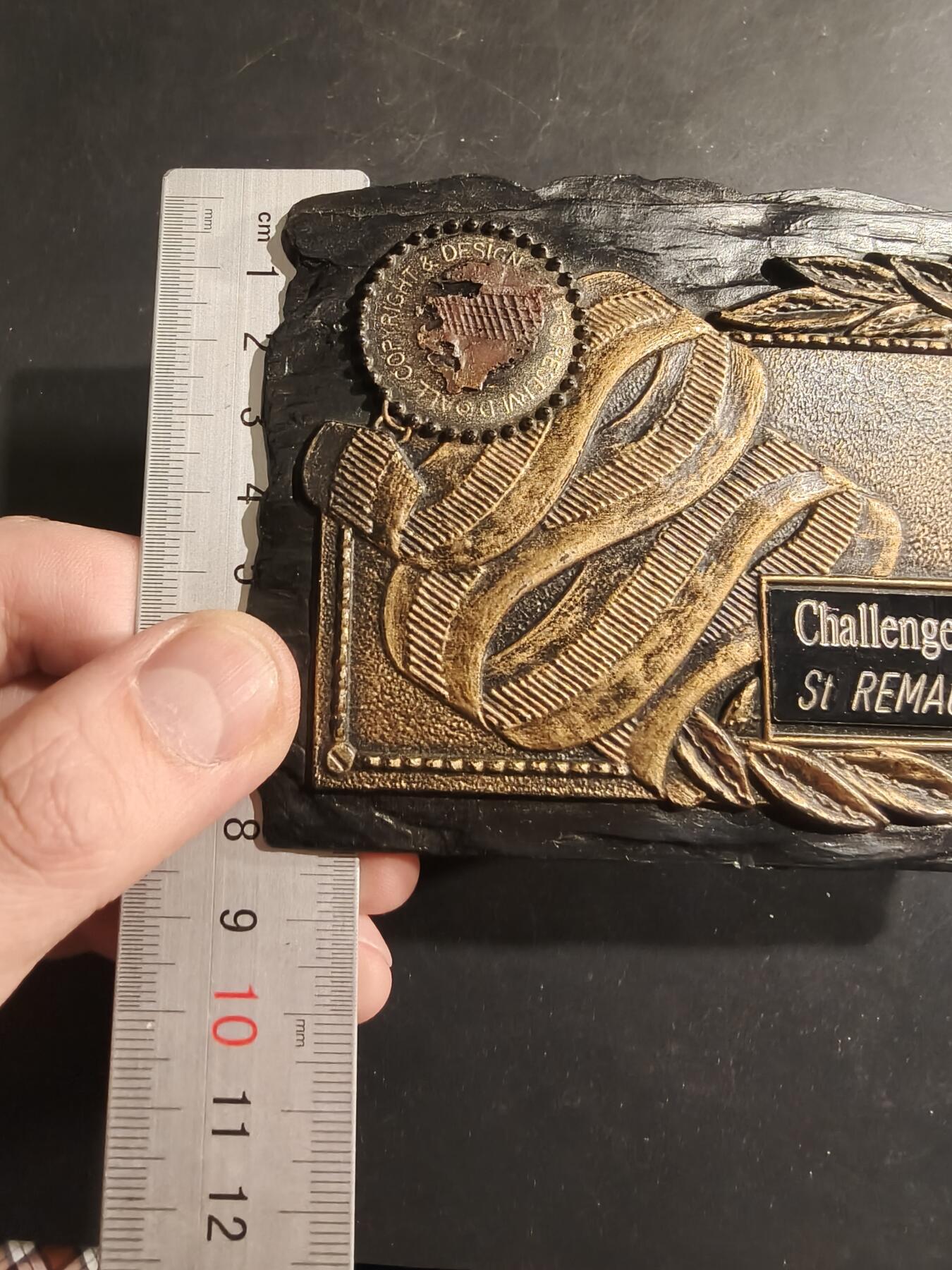 老王徽章第182期 美国老兵协会嘉奖牌匾    12×8cm