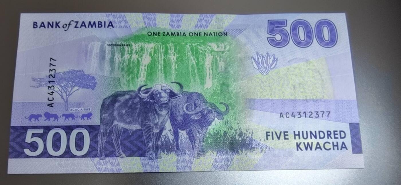 春节钱币瓷器清货捡漏拍场