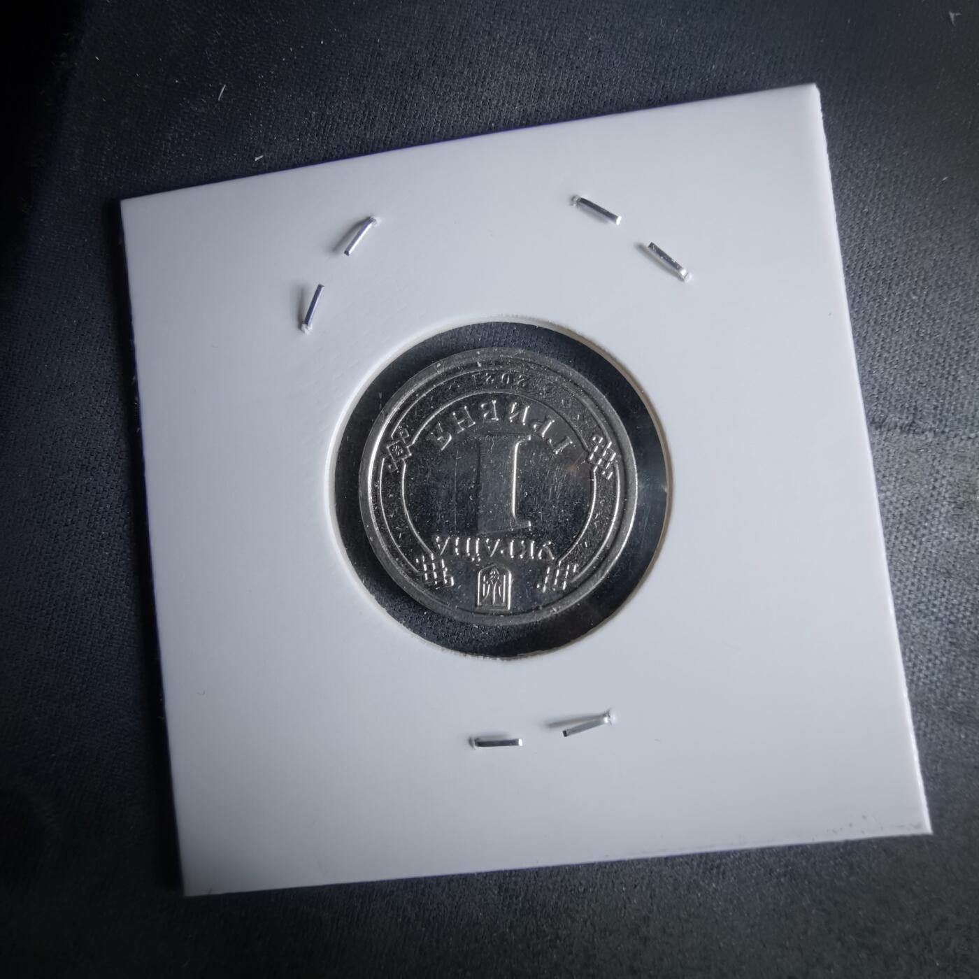 沼泽如烟--第994场