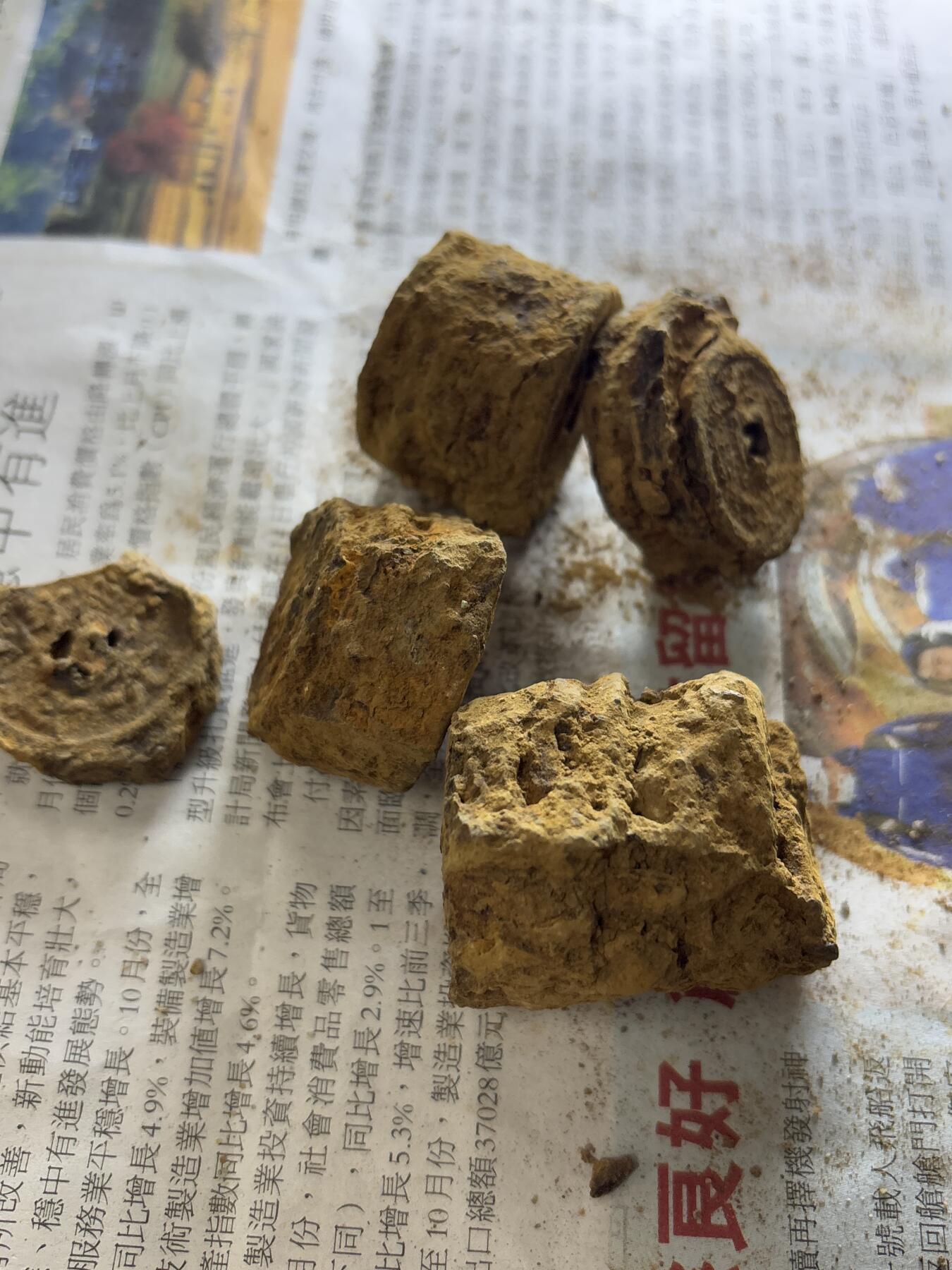 【金马踏春，泉马奔腾】2026 年新年贺岁场，（定于年初五接财神截拍）祝各位老板马到成功，马上有钱，愿岁岁平安喜乐顺遂 南宋折钱，5 坨，30-40 枚左右，305 克，里面什么都有几率出