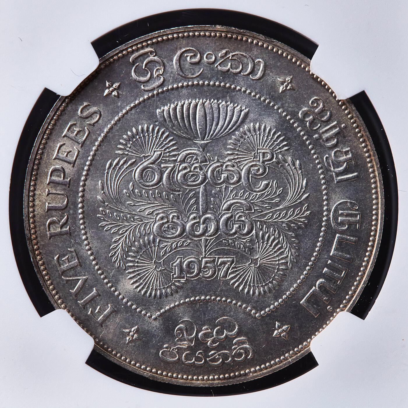 【俄甄集藏】马年新春第一拍 2026年(048)02-25星期三 晚 19:30 全场包邮