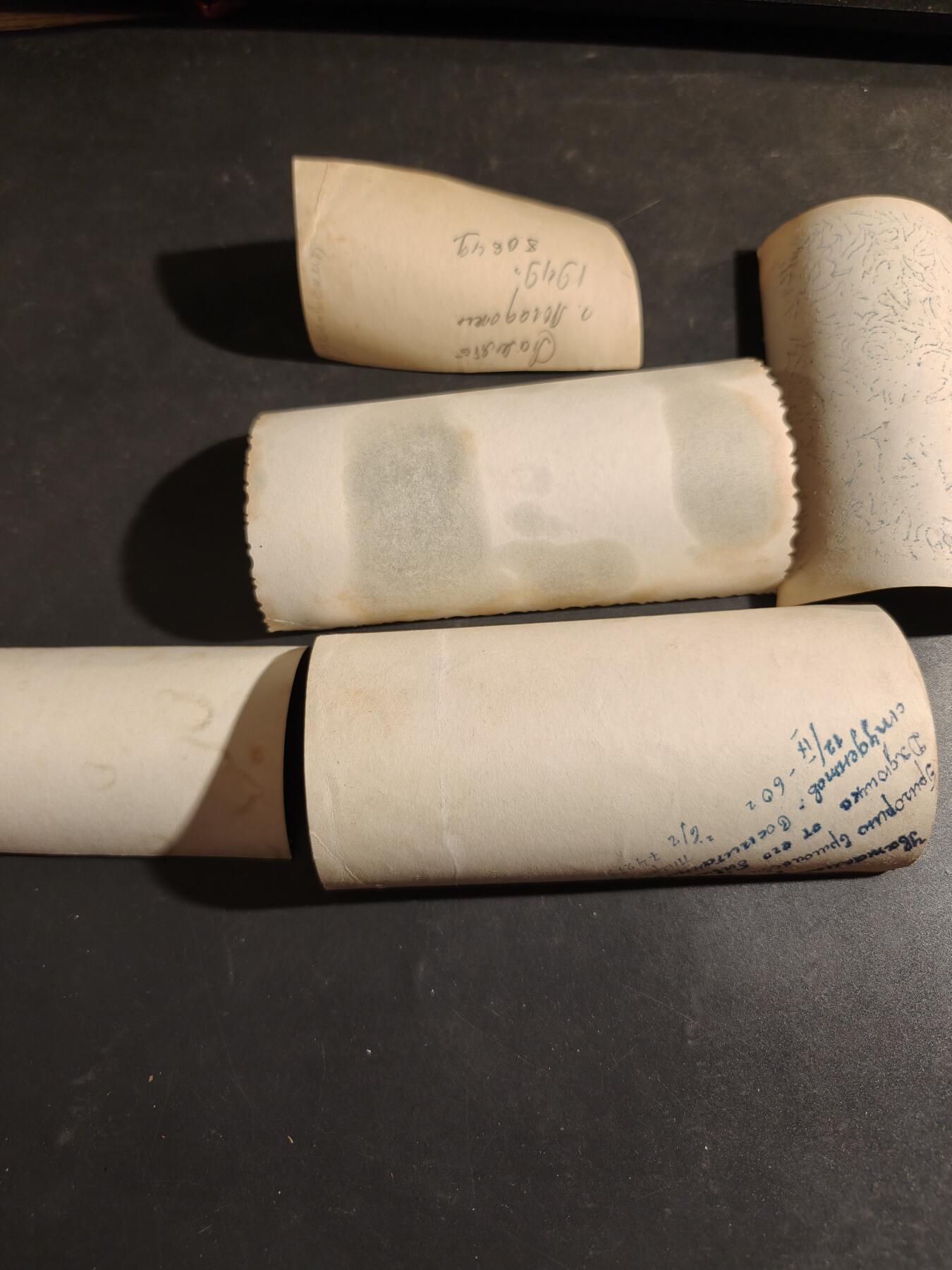 老王徽章第182期