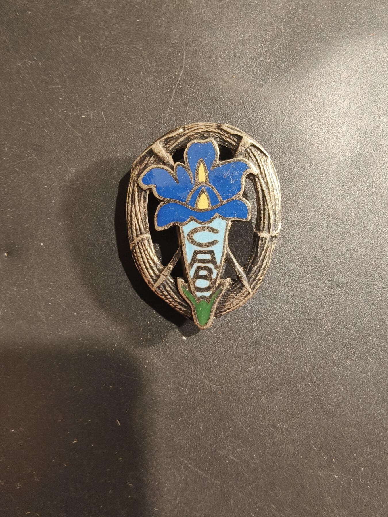 老王徽章第182期 比利时登山俱乐部证章