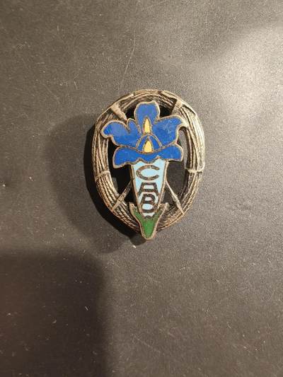 老王徽章第182期 - 比利时登山俱乐部证章