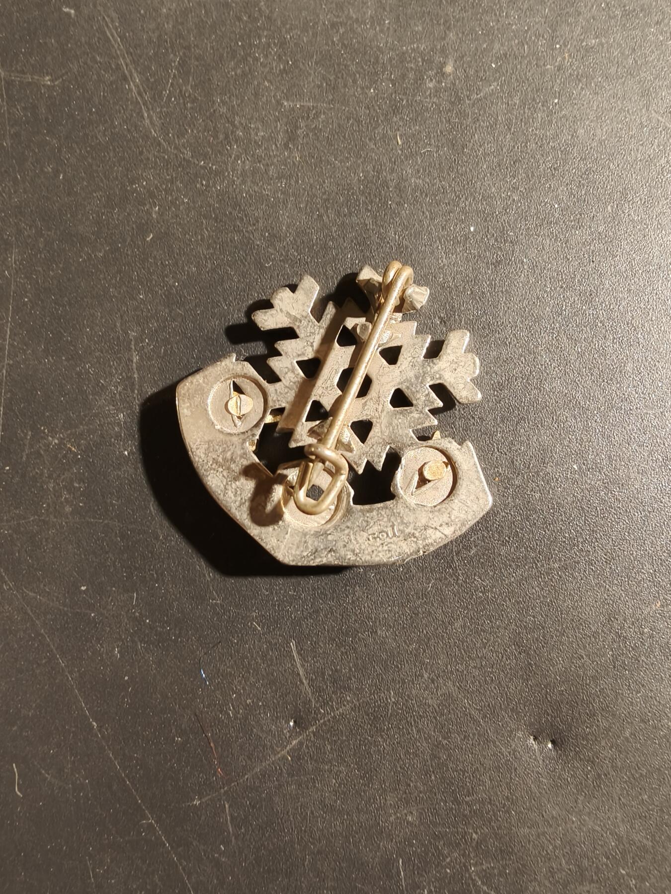 老王徽章第182期 法国高山滑雪学校证章