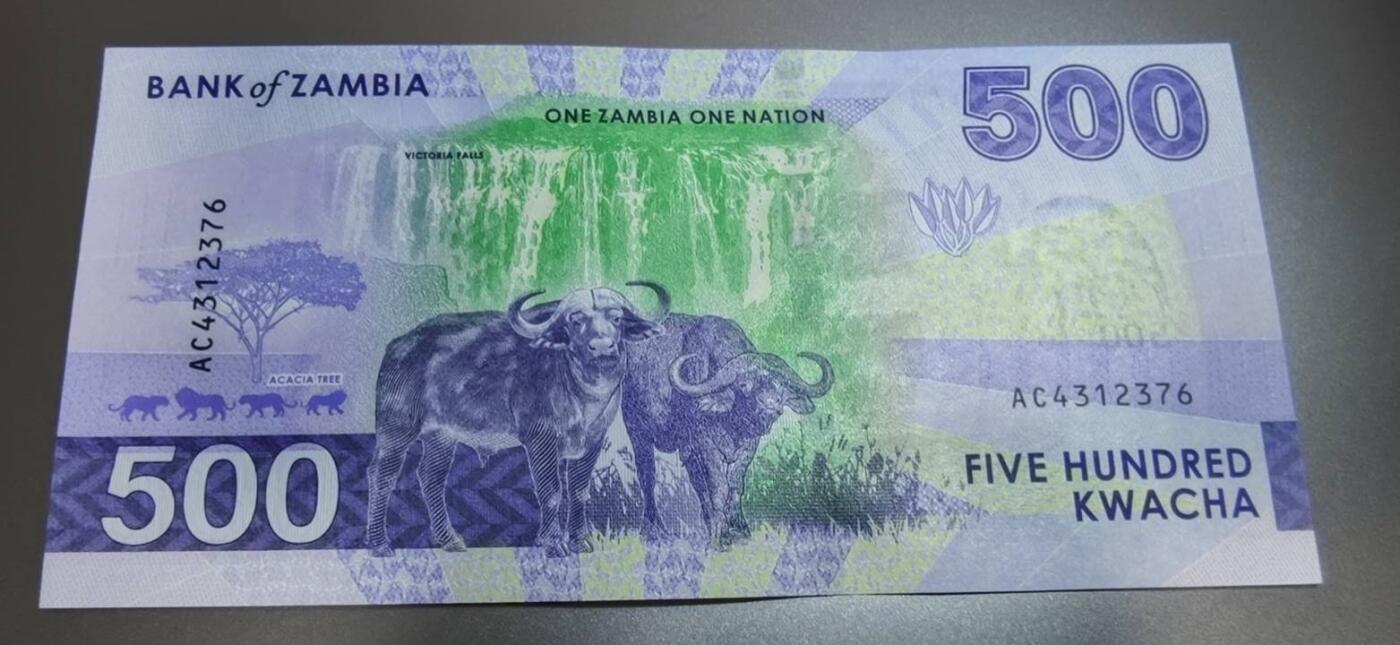 春节钱币瓷器清货捡漏拍场