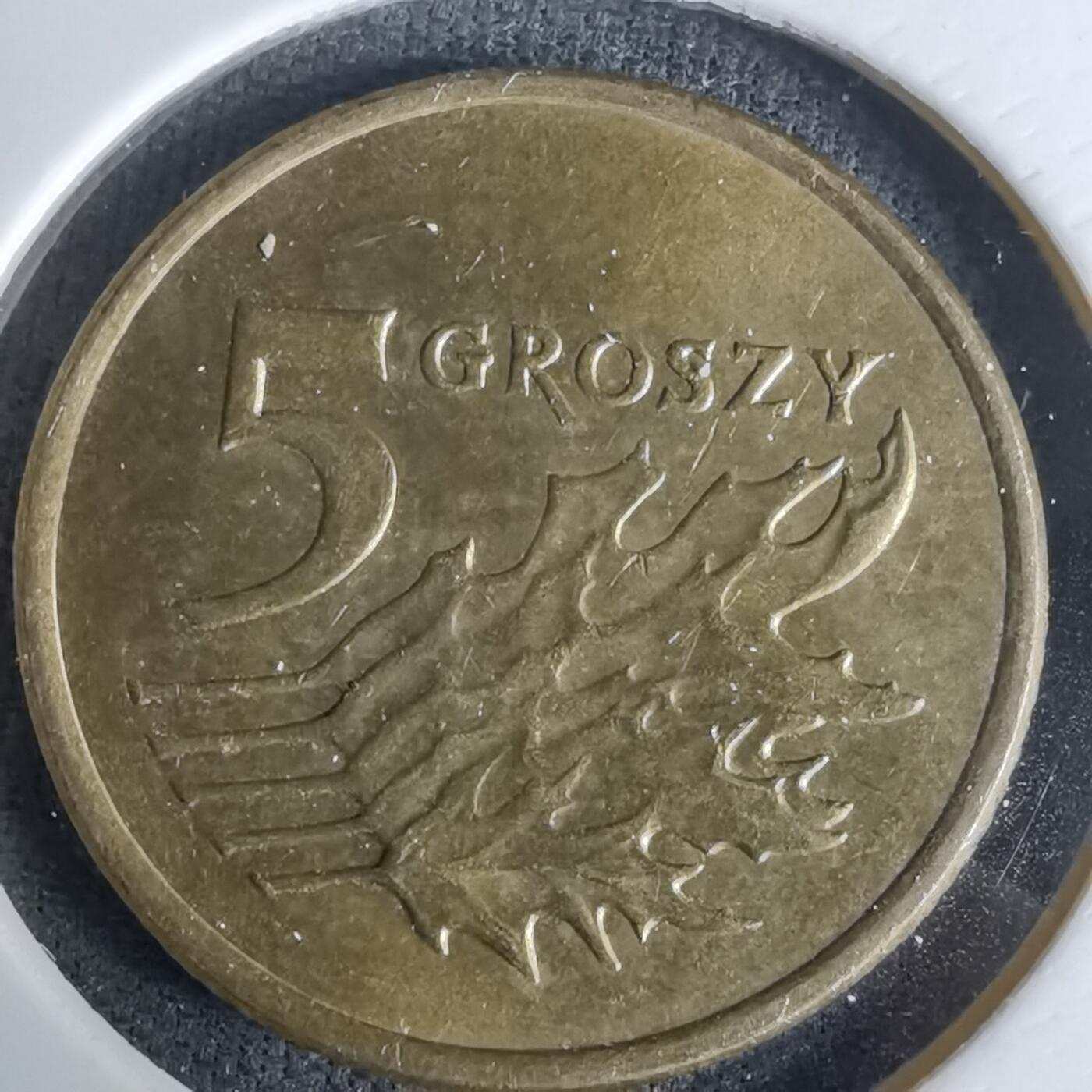 沼泽如烟--第994场 波兰2006年5格罗申