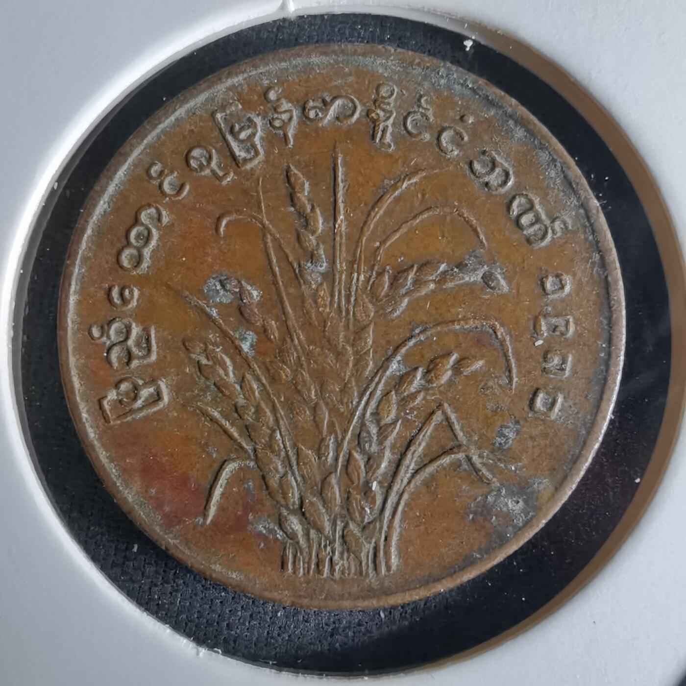 沼泽如烟--第994场 缅甸