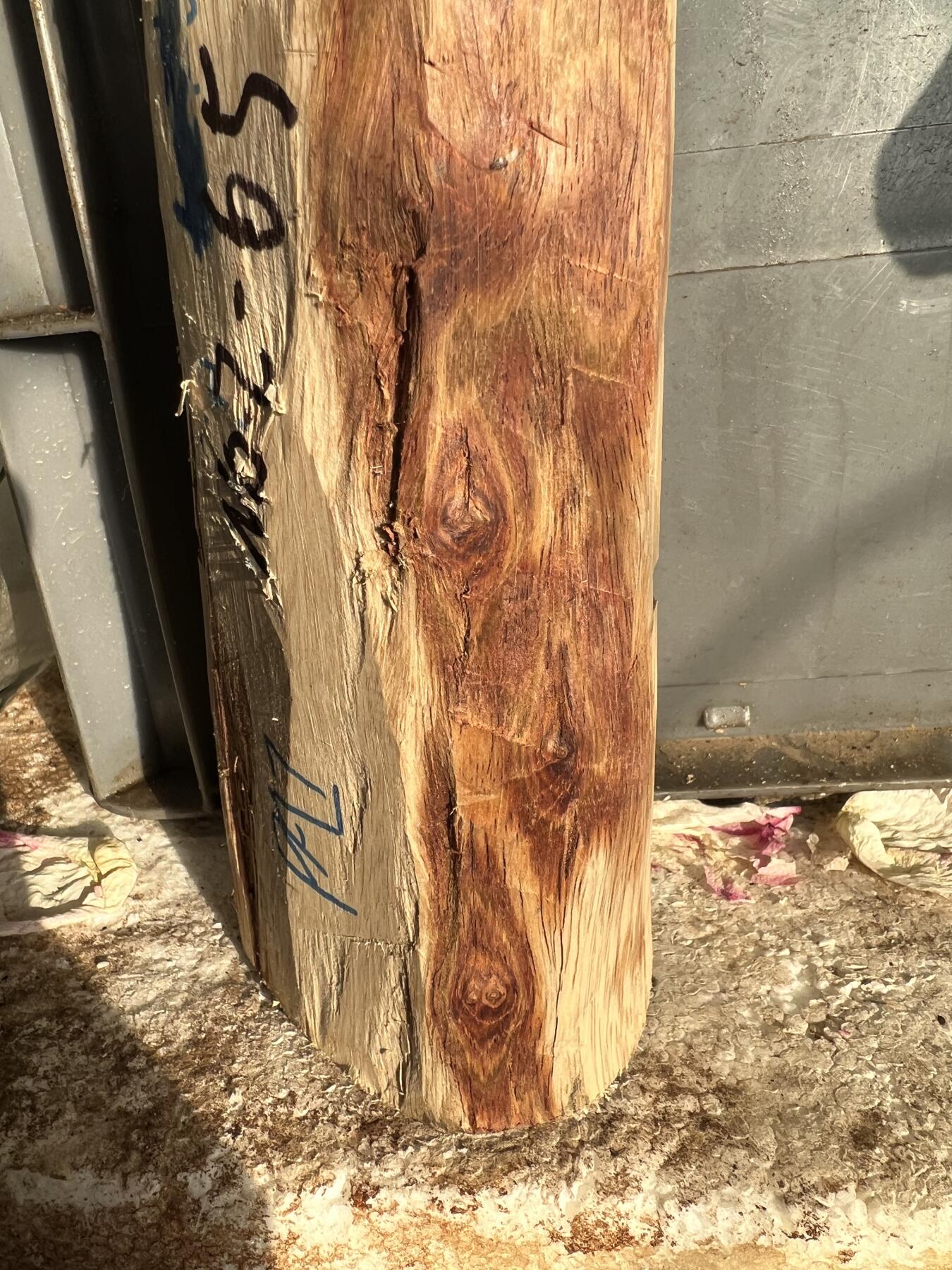 零元拍：NO.2-65海南黄花梨，一根全是眼睛的料子，做随型，雕件都没问题。330/55/80/60MM