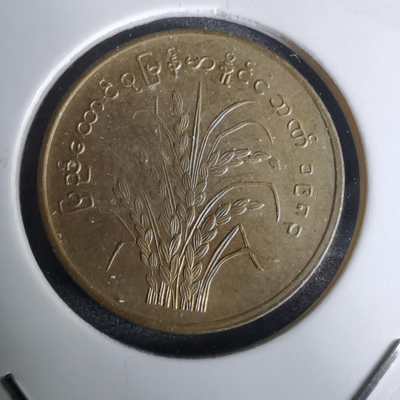 沼泽如烟--第994场 缅甸