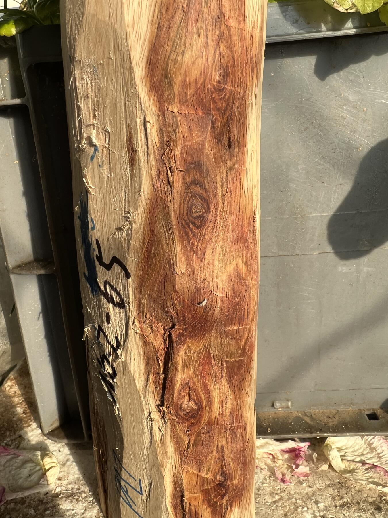 零元拍：NO.2-65海南黄花梨，一根全是眼睛的料子，做随型，雕件都没问题。330/55/80/60MM