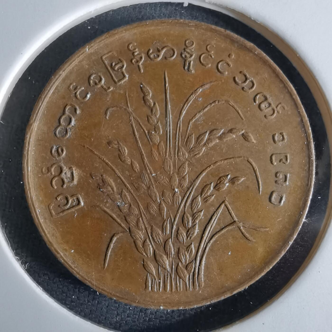 沼泽如烟--第994场 缅甸