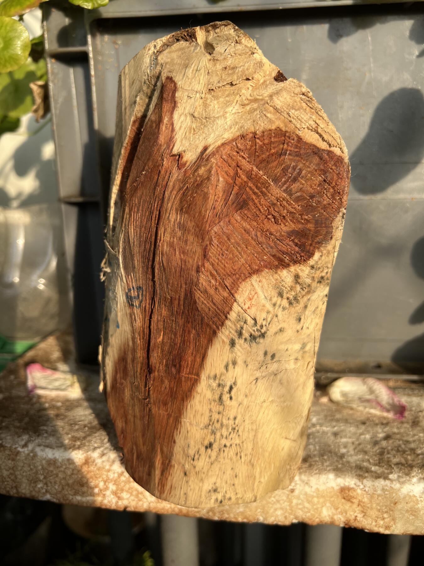 零元拍：NO.2-88海南黄花梨，根料，细腻花纹紧实，快到紫梨的感觉。185/90/40MM