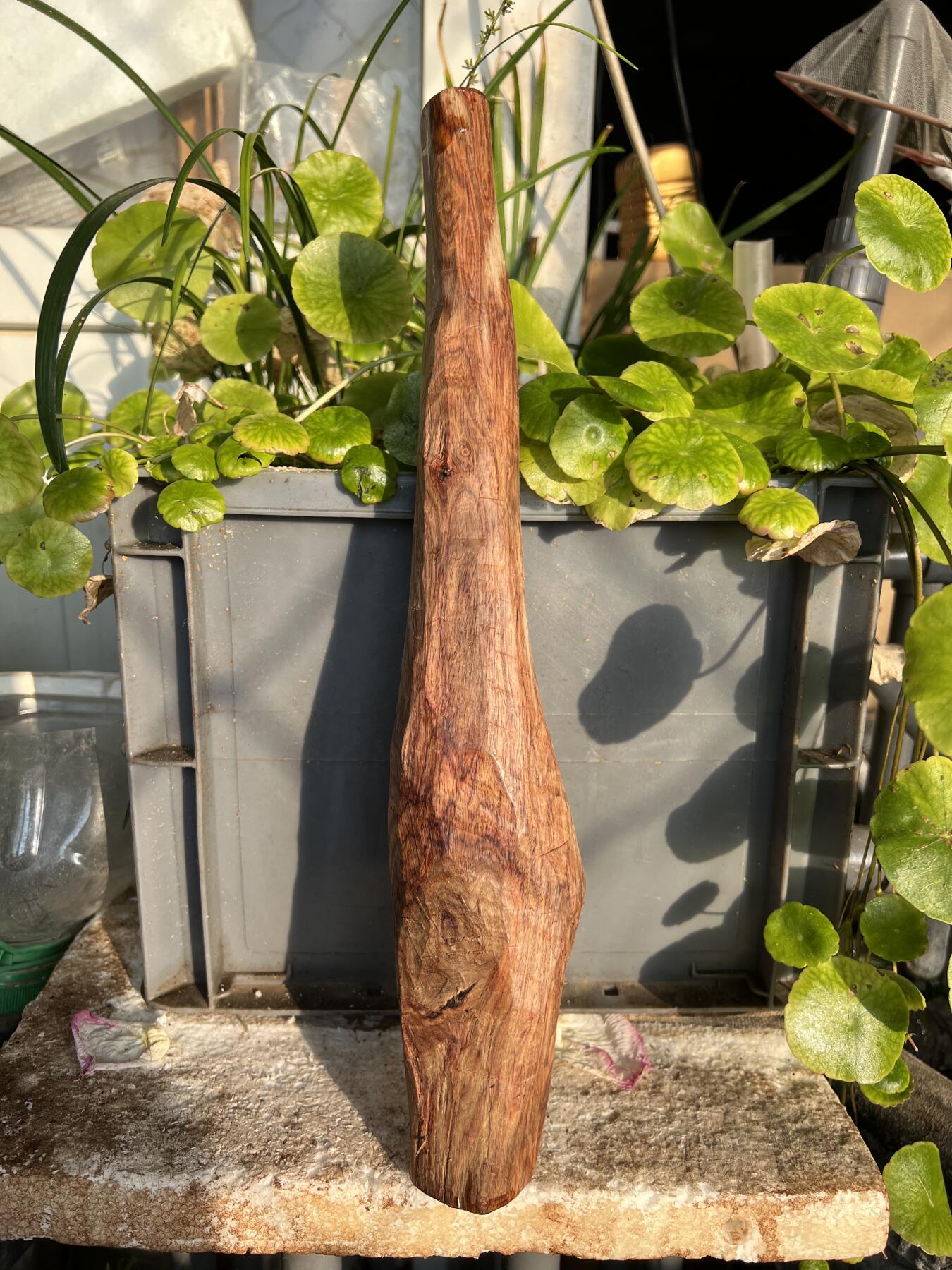 零元拍：NO.1-90海南黄花梨珠子把件料，外面白皮基本都去掉了，红肉打底花纹鬼眼很漂亮。360/40/24MM