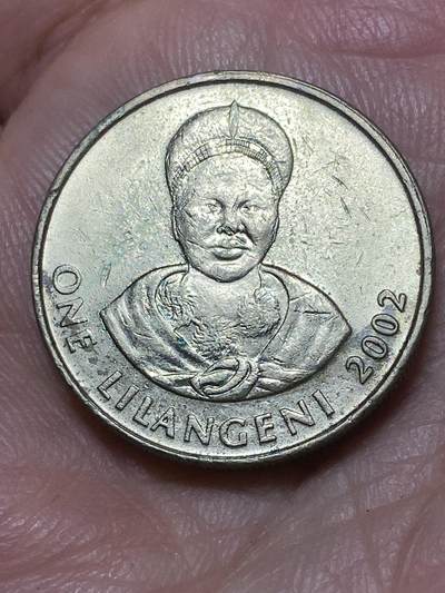 2026年第二十六场(总第一百九十五场）外国好品散币场(免佣金) - 斯威士兰🇸🇿2002年1里兰吉尼