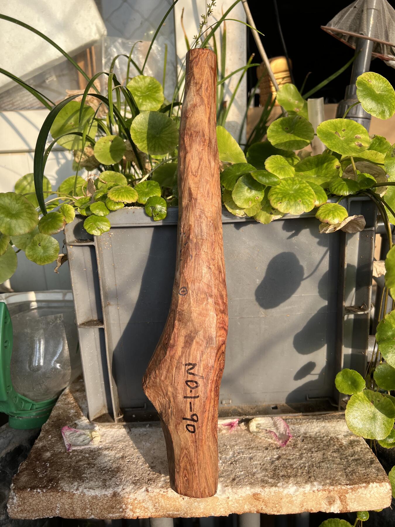 零元拍：NO.1-90海南黄花梨珠子把件料，外面白皮基本都去掉了，红肉打底花纹鬼眼很漂亮。360/40/24MM