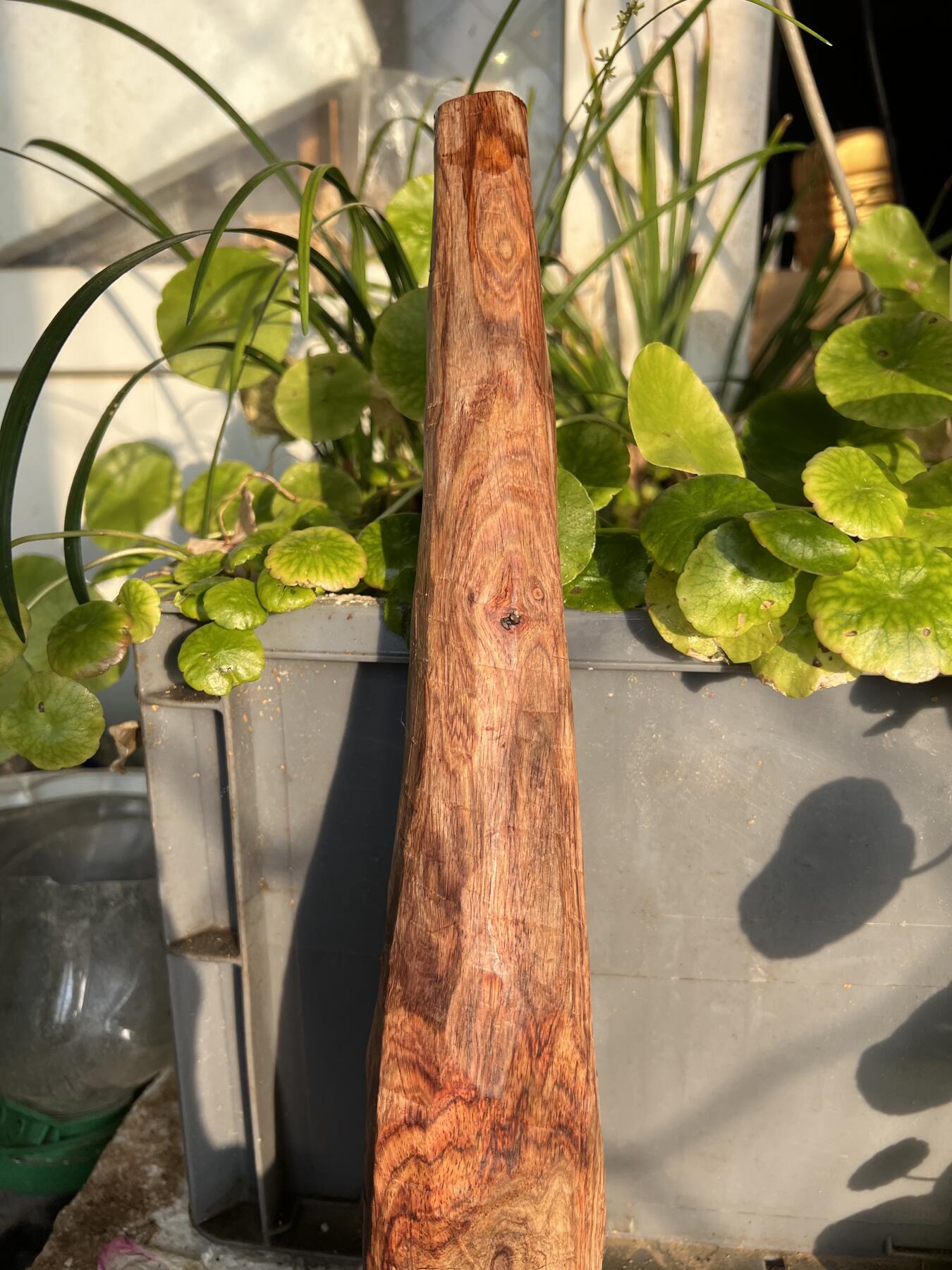 零元拍：NO.1-90海南黄花梨珠子把件料，外面白皮基本都去掉了，红肉打底花纹鬼眼很漂亮。360/40/24MM