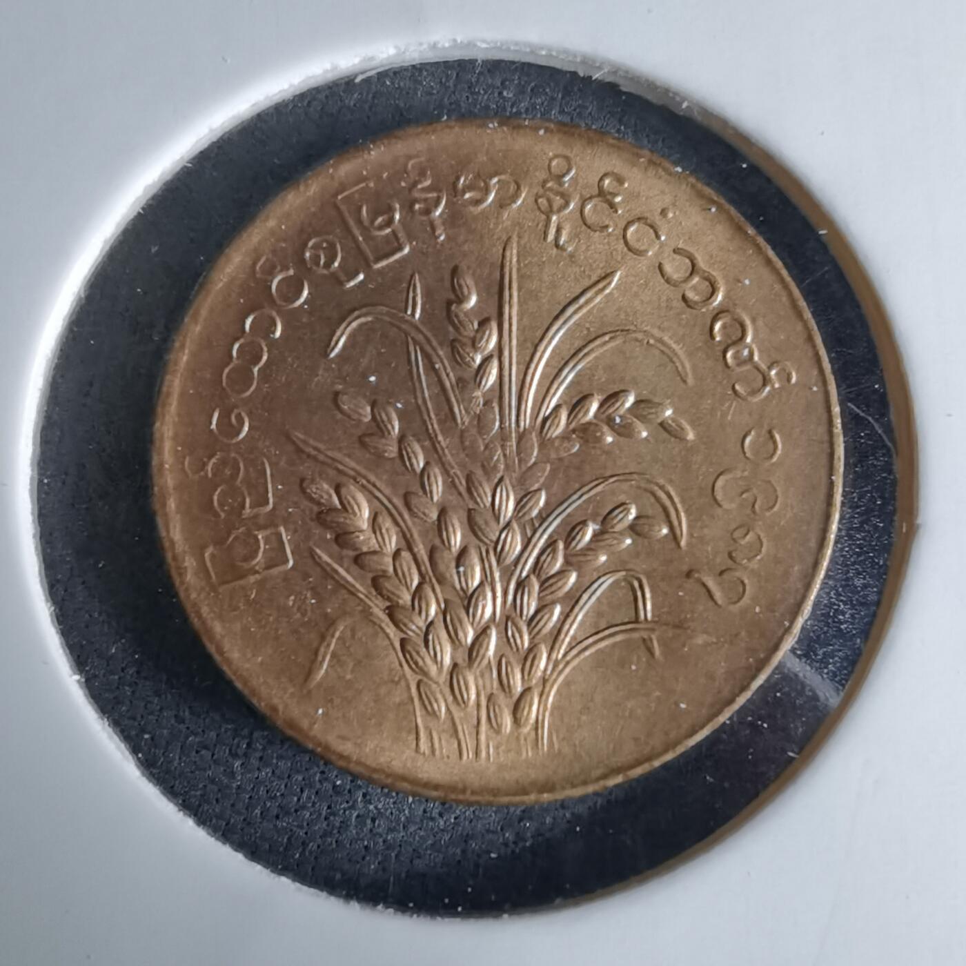 沼泽如烟--第995场 缅甸