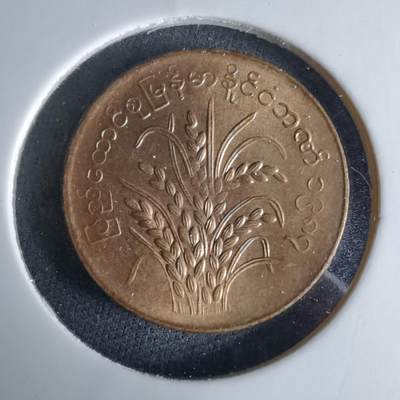 沼泽如烟--第995场 - 缅甸