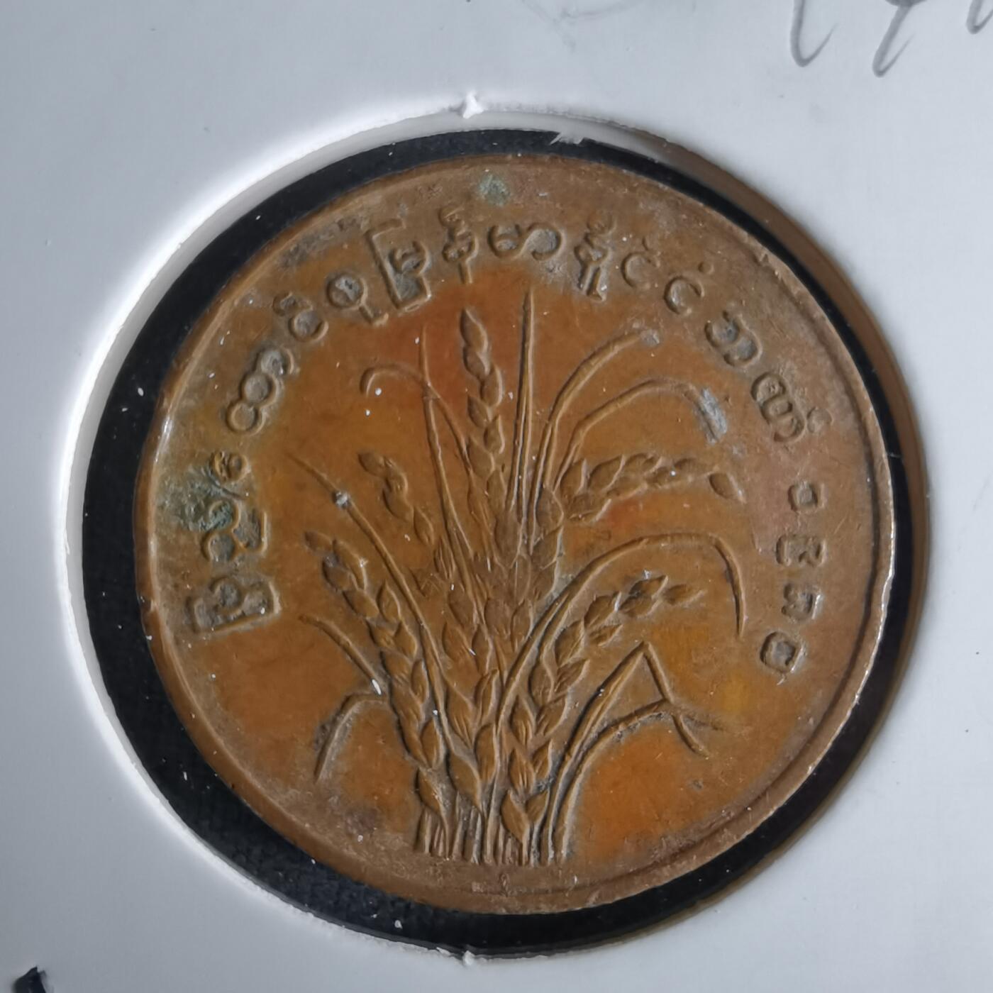 沼泽如烟--第994场 缅甸