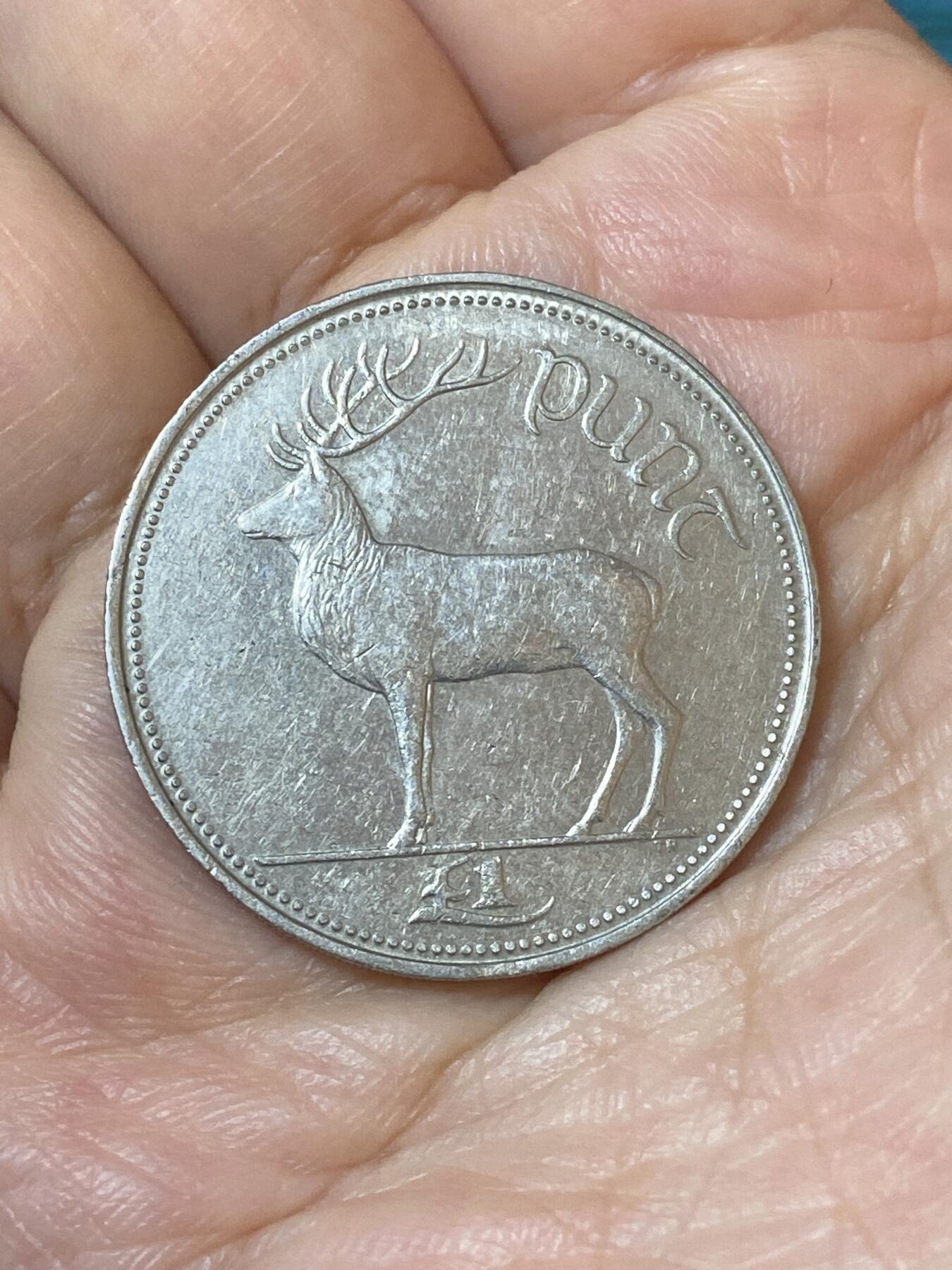 2026年第二十五场(总第一百九十四场）外国好品散币场(免佣金) 爱尔兰🇮🇪1990年1镑(共和国时期第二套)