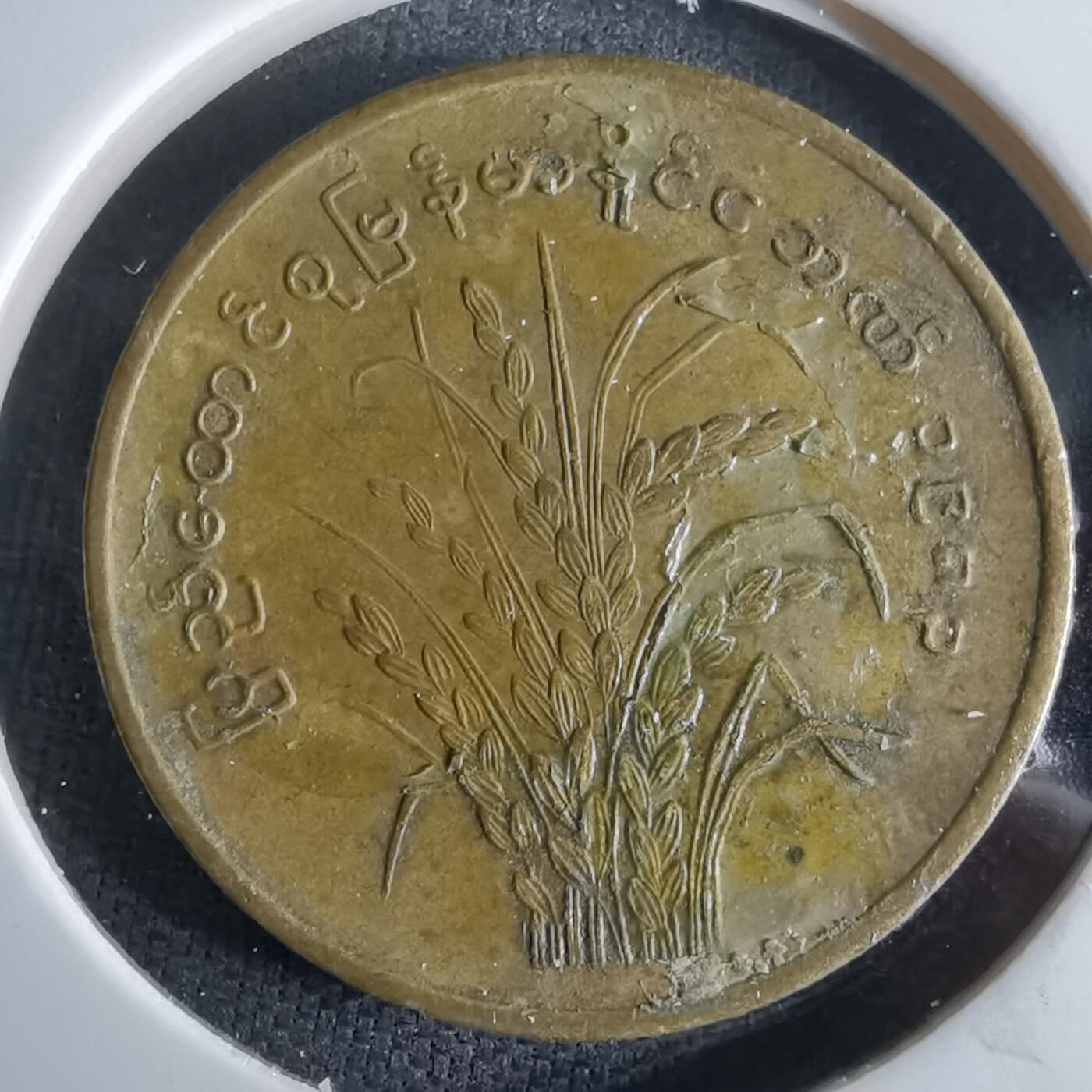 沼泽如烟--第994场 缅甸