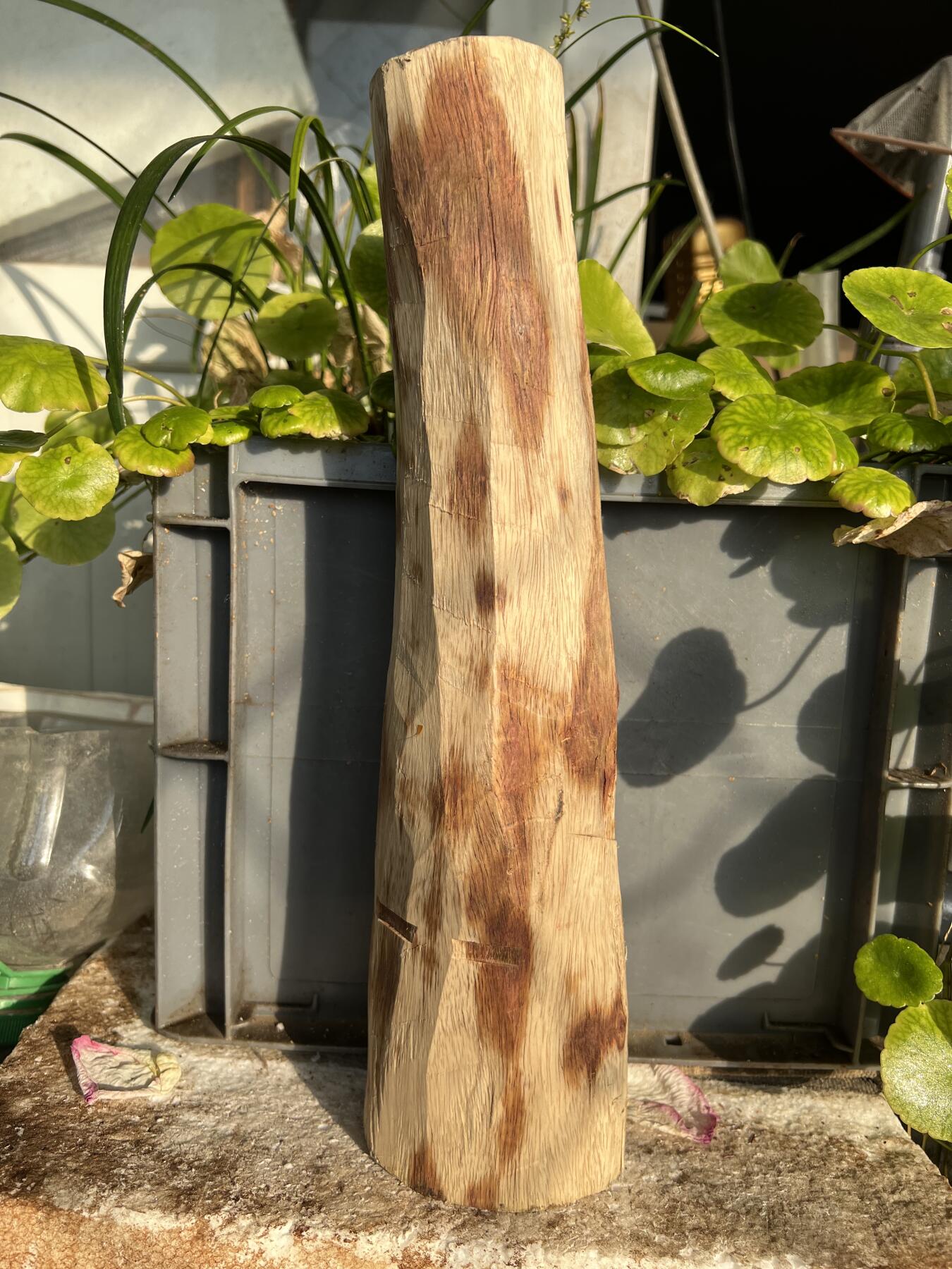 零元拍：NO.2-65海南黄花梨，一根全是眼睛的料子，做随型，雕件都没问题。330/55/80/60MM