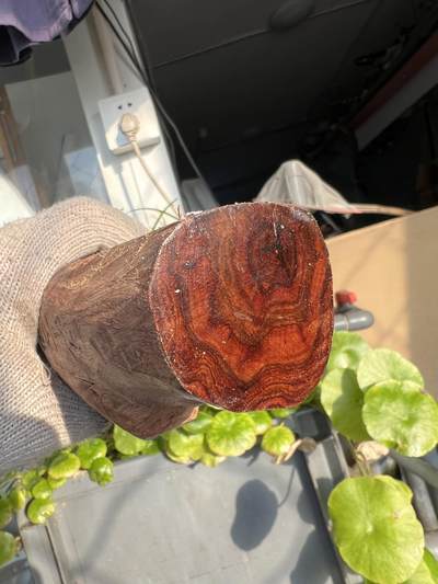 零元拍：NO.1-90海南黄花梨珠子把件料，外面白皮基本都去掉了，红肉打底花纹鬼眼很漂亮。360/40/24MM - 零元拍：NO.1-90海南黄花梨珠子把件料，外面白皮基本都去掉了，红肉打底花纹鬼眼很漂亮。360/40/24MM