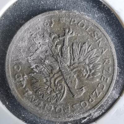 沼泽如烟--第993场 - 波兰2兹罗提