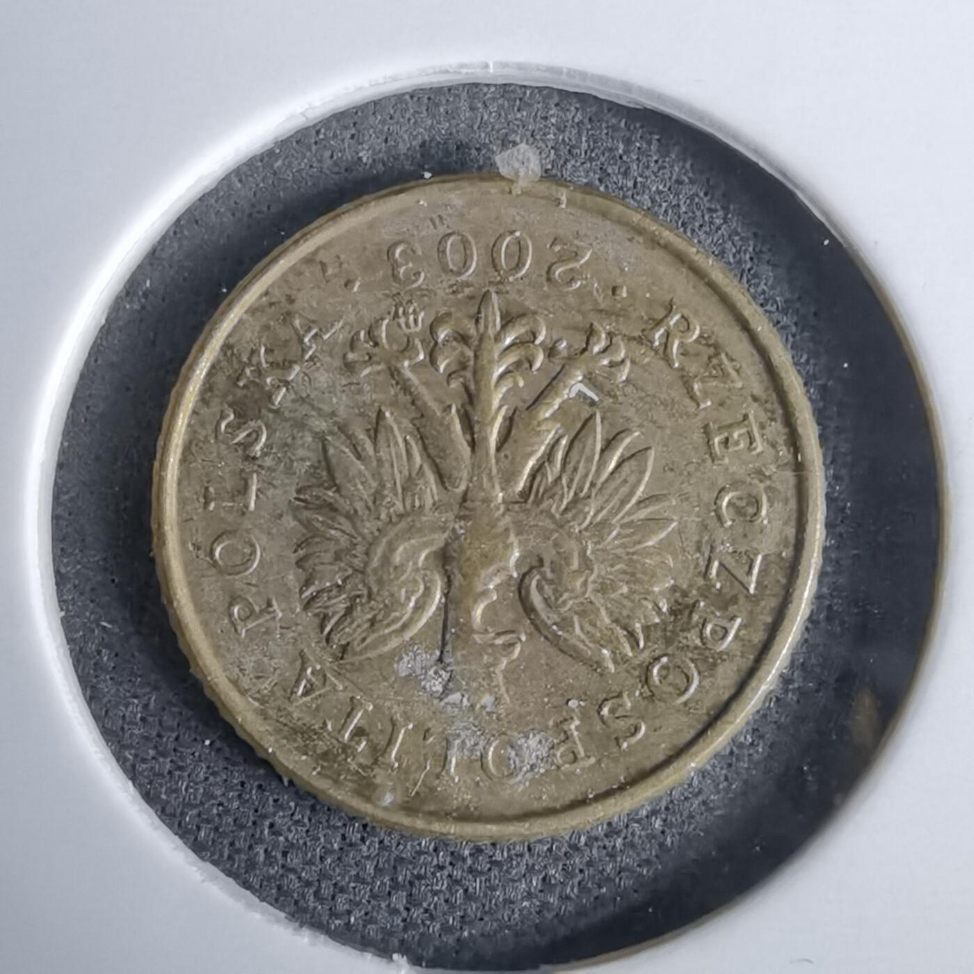 沼泽如烟--第994场 波兰2003年1格罗申