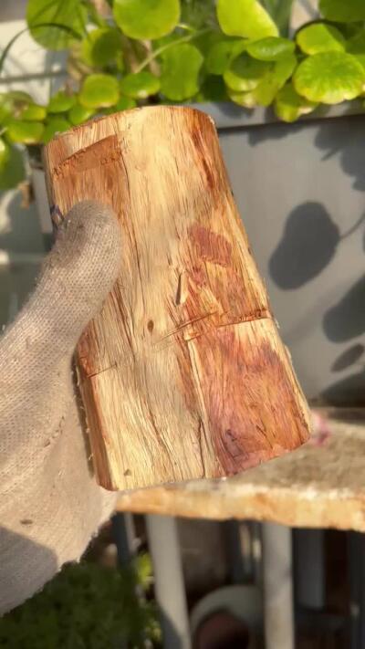 零元拍：NO.1-60海南黄花梨，大口径，黑紫线超粗超美丽。135/77/100MM