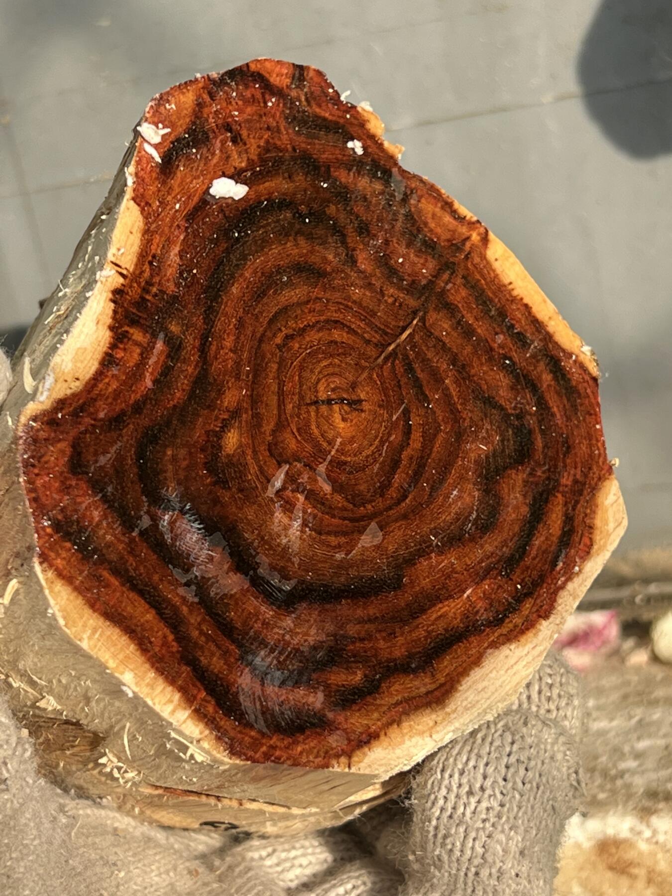 零元拍：NO.1-60海南黄花梨，大口径，黑紫线超粗超美丽。135/77/100MM