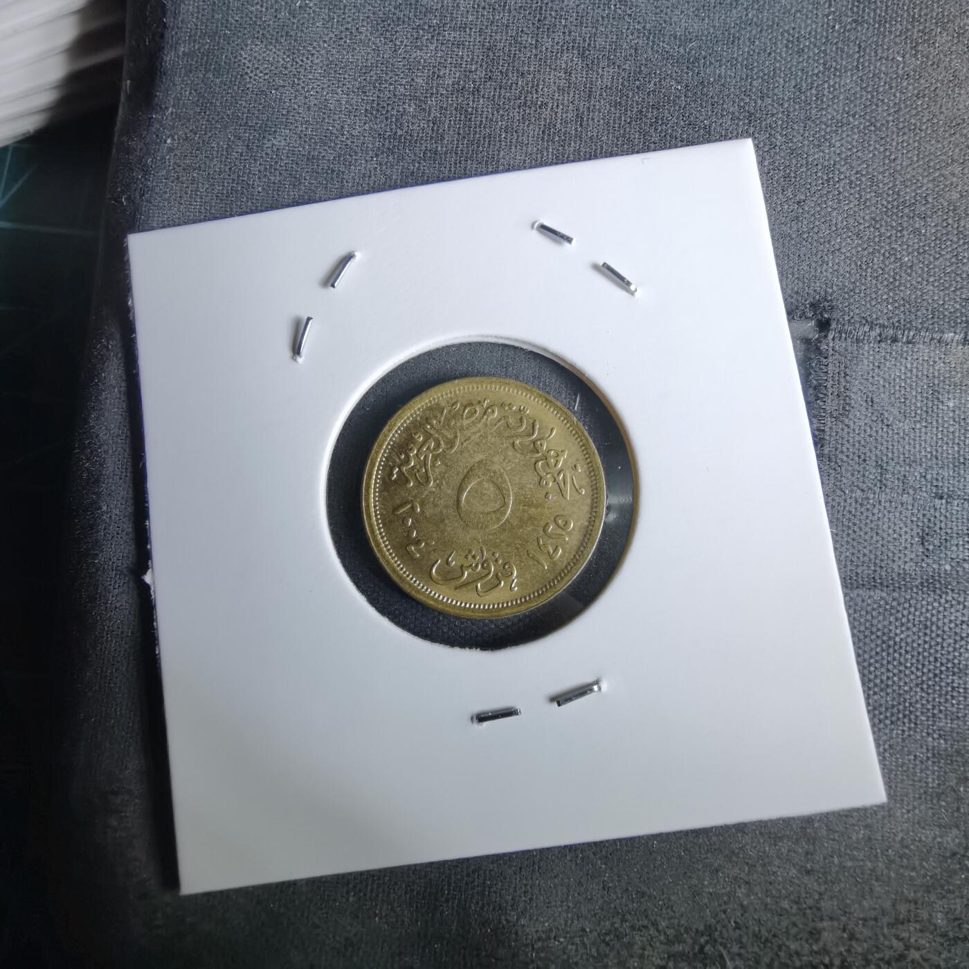 沼泽如烟--第994场 埃及