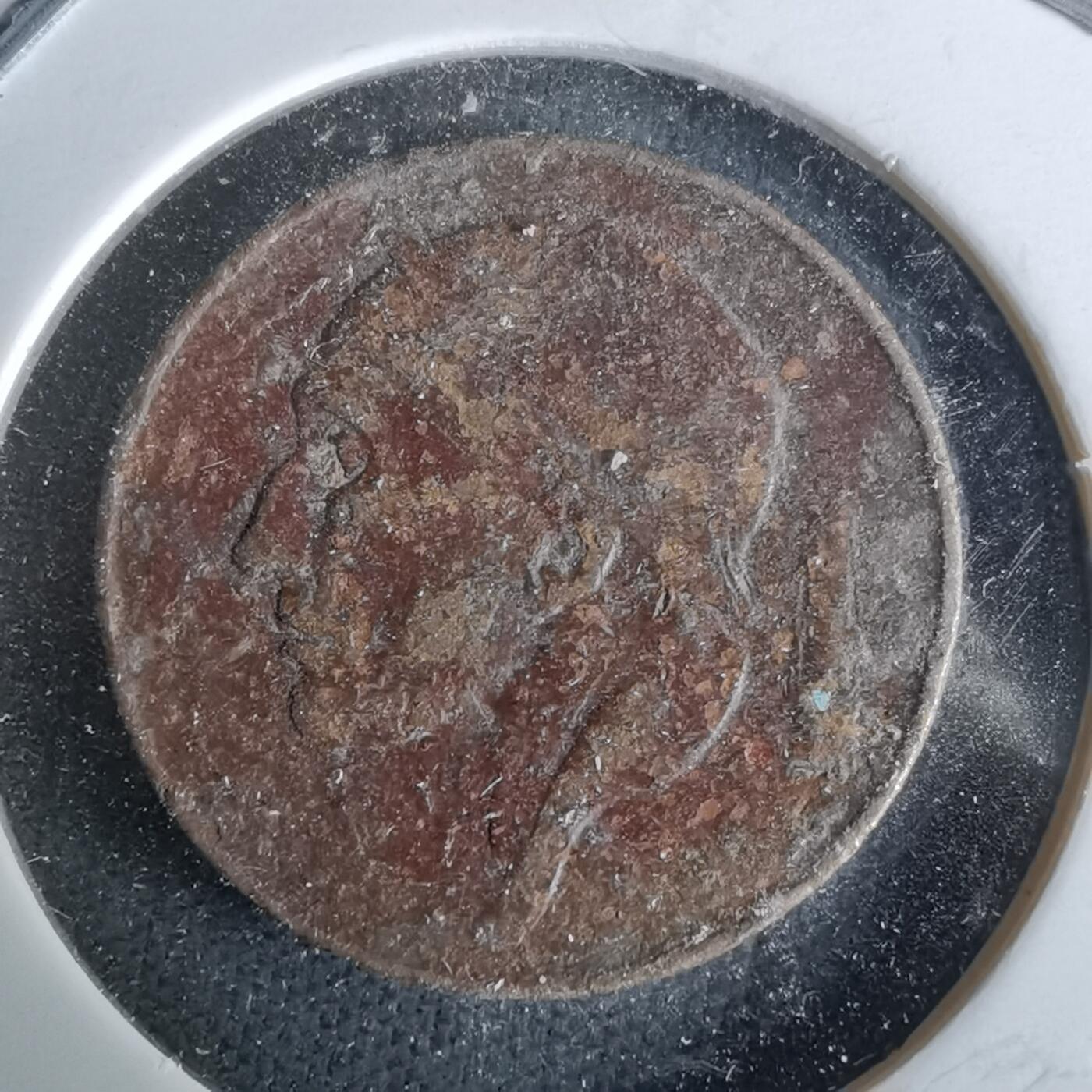 沼泽如烟--第993场 比利时50分