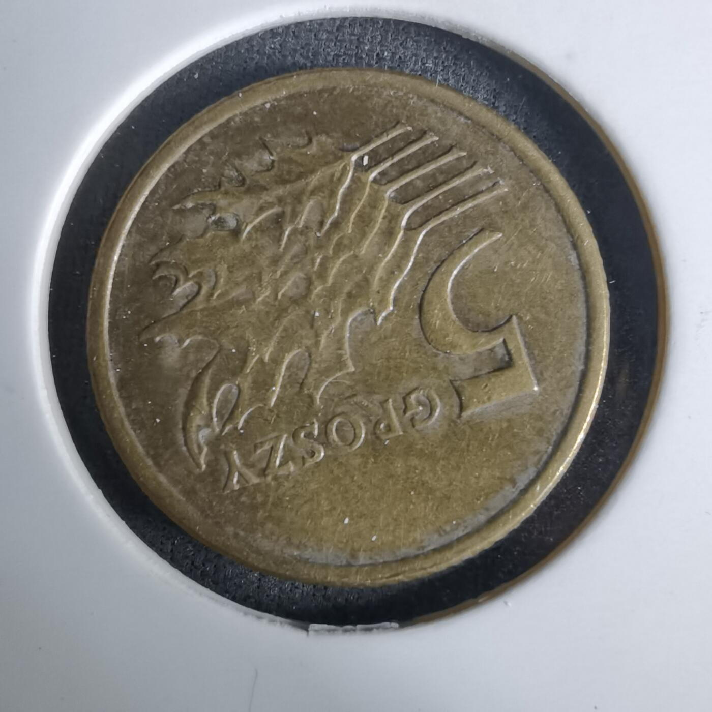 沼泽如烟--第994场 波兰2001年5格罗申