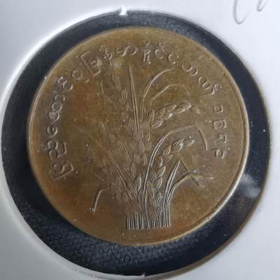 沼泽如烟--第994场 - 缅甸